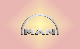 ✓ MAN 82.06620.0019 Запчасти МАН (MAN) 