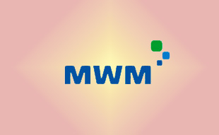 ✓ MWM 0331 2822 Запчасть MWM 